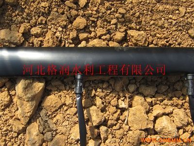 河北优质贴片滴水带,滴灌带灌溉产品,滴灌带厂家直销